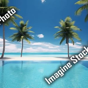 ビーチリゾートの写真100枚 [ストックフォト]