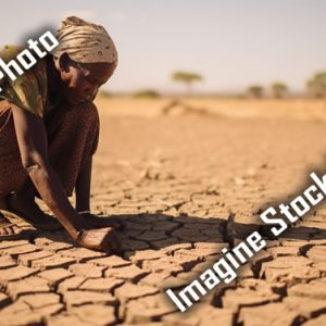 食糧危機の様子の写真100枚