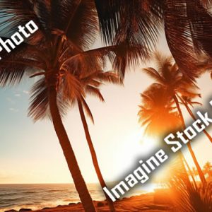 海外のビーチの風景写真100枚